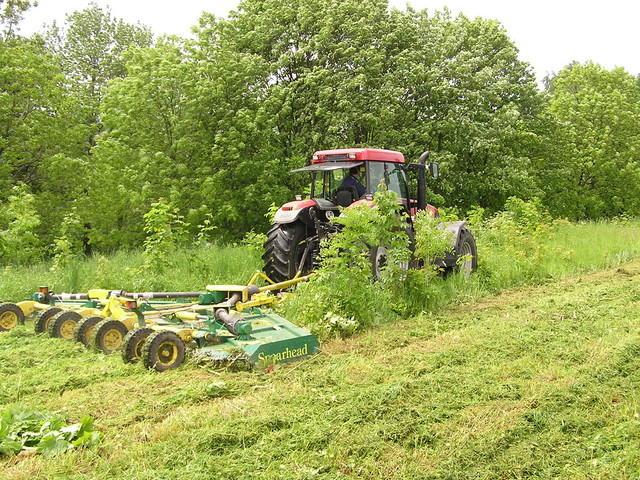 Rotorov mulova za traktor znaky Spearhead.