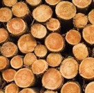 Jak v krbu správně ZATOPIT a NEPŘETOPIT