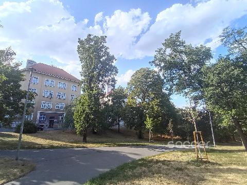 Obr�zek nen� k dispozici.