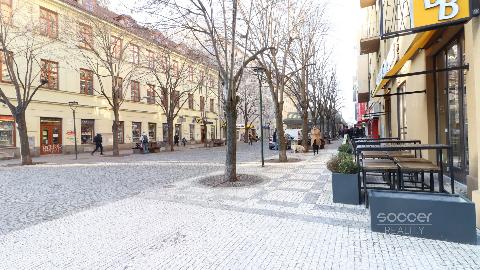 Obr�zek nen� k dispozici.