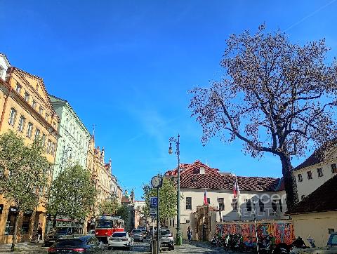 Obr�zek nen� k dispozici.