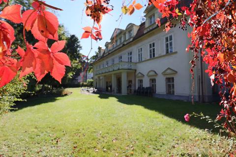 Obr�zek nen� k dispozici.