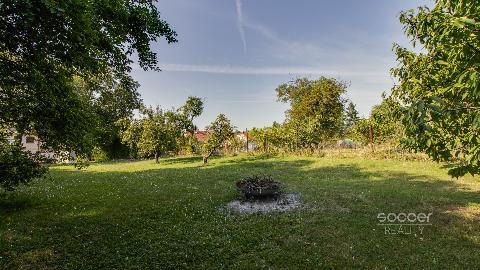 Obrzek nen k dispozici.