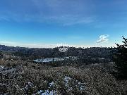 Nabzme k prodeji les o ploe 11.837 m2 v K Stov u Jihlavy