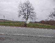 Nabzme k prodeji spoluvlastnick podl u zemdlskch pozemk v k.. Batelov na Vysoin