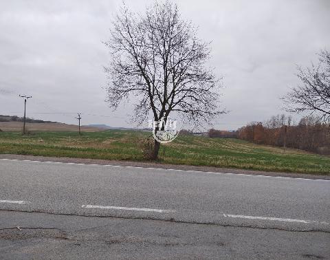 Obr�zek nen� k dispozici.