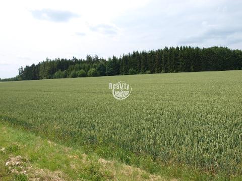 Obr�zek nen� k dispozici.