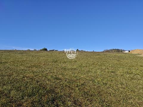 Obrázek není k dispozici.