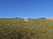 Prodej pozemku ur�en�ho pro v�stavbu rodinn�ho domu v obci Bransouze