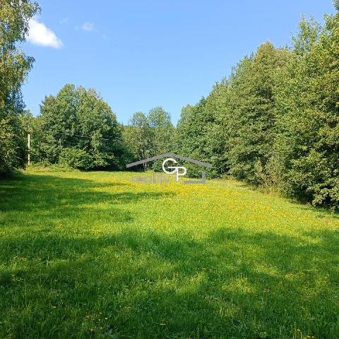 Obr�zek nen� k dispozici.