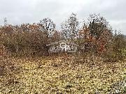 Prodej nemovitosti s potenci�lem komer�n� p��le�itosti, Hracholusky u Prachatic