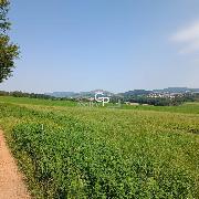 Prodej orn� p�dy u obce Kraset�n - Holubov