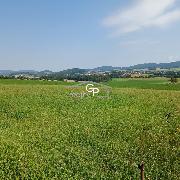 Prodej orn� p�dy u obce Kraset�n - Holubov