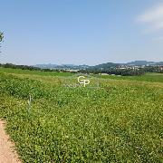 Prodej orn� p�dy u obce Kraset�n - Holubov