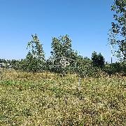 Prodej pozemku k v�stavb� v obci Bohdal�n