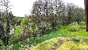 Prodej RD 3+1 se zahradou v obci Kladensk� Rovn� - K�jov