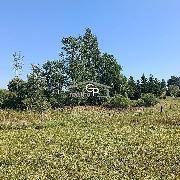 Prodej stav. parcely s pilehlmi pozemky, Bohdaln