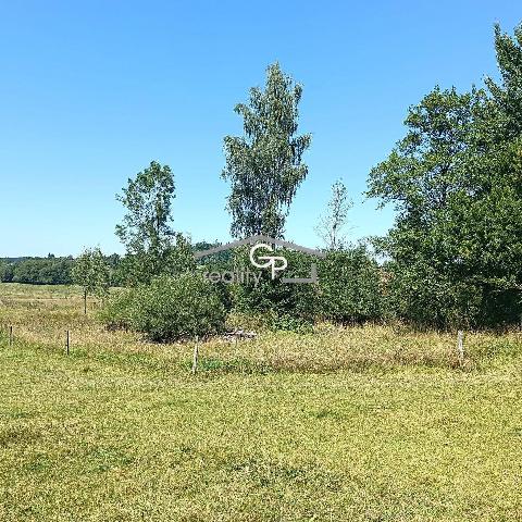 Obr�zek nen� k dispozici.