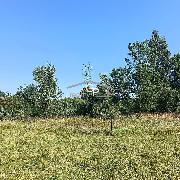 Prodej stavebn�ho pozemku 1 586 m and sup2;  Bohdal�n, okres Pelh�imov