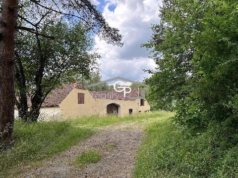 Obr�zek nen� k dispozici.