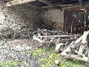 Prodej venkovsk�ho domu s pozemky - bydlen� i podnik�n�, Hracholusky