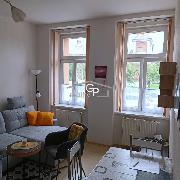 Pron�jem bytu 1+1, ul. J. Plachty, �esk� Bud�jovice