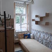 Pron�jem bytu 1+1, ul. J. Plachty, �esk� Bud�jovice