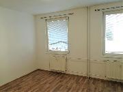 Pronjem bytu 3+1 s bal., ul. Vodansk, Tn nad Vltavou