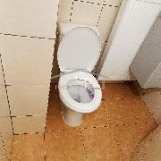 Pron�jem bytu 3+1, ul. t�. 28. ��jna, �esk� Bud�jovice