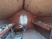 Pron�jem zahrady, zl. �roub�rensk�, �esk� Bud�jovice