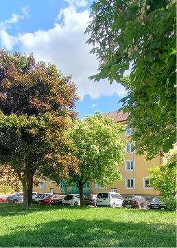 Obrzek nen k dispozici.