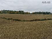 prodej pod�lu 1/2 na  94116 m2 zem�d�lsk� p�dy Kondrac