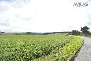 prodej pod�lu 1/2 na  94116 m2 zem�d�lsk� p�dy Kondrac