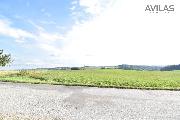prodej pod�lu 1/2 zem�d�lsk� p�dy  47058 m2 k� Kondrac
