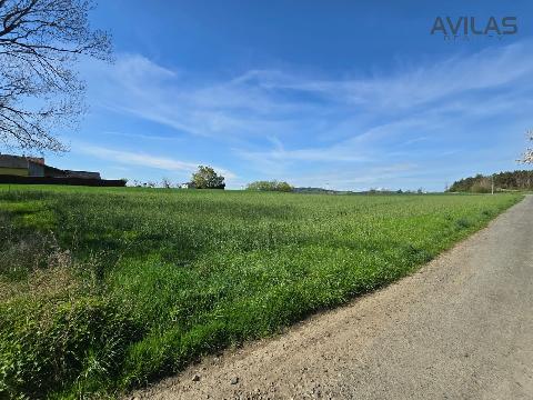 Obr�zek nen� k dispozici.