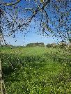 Prodej stavebn� parcely 1.600 m2 v Ch��ovic�ch u T�nce nad S�zavou