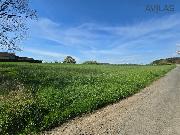 Prodej stavebn� parcely 1.600 m2 v Ch��ovic�ch u T�nce nad S�zavou