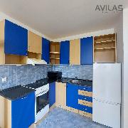 Pron�jem bytu 1+kk 30 m 2 v Bene�ov�