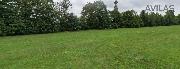 Pron�jem travnat�ho pozemku 7 945 m? v Nespek�ch