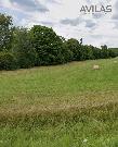 Pron�jem travnat�ho pozemku 7 945 m? v Nespek�ch