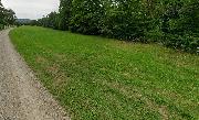Pron�jem travnat�ho pozemku 7 945 m? v Nespek�ch