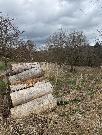 Prodej RD, 4+1, 320 m2, obec Struhy, Jiho�esk� kraj