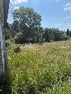 Prodej RD, 4+1, 320 m2, obec Struhy, Jiho�esk� kraj