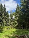 Pron�jem rekrea�n�ho domu 66m2 s pozemkem 1200 m2, Vysok� Pec u Nejdku