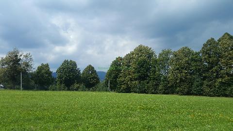 Obr�zek nen� k dispozici.