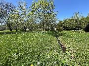 Pozemek 1016 m2 nad statkem.