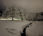 Pozemek s budovou bez .p. - Trojanovice