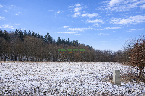 Obr�zek nen� k dispozici.