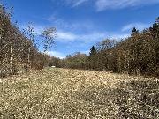 Stavebn� pozemek na Horn� Jasence - Vset�n