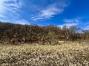 Stavebn� pozemek na Horn� Jasence - Vset�n